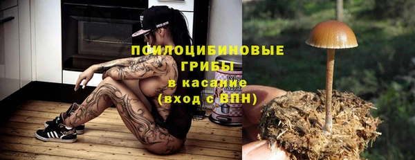 а пвп мука Алзамай
